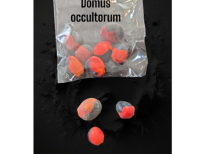 Occhio di Capra