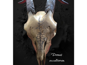 Teschio Capra Sigillo Luciferiano