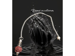 Pendolo con semi di Rudraksha Argento