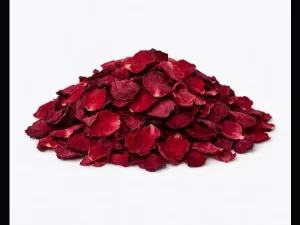 Rosa Rossa