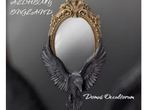 Specchio da parete Raven's Gaze
