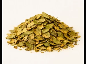 Aroeira -  Pistacia lentiscus