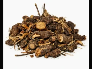 Dandà da Costa - Cyperus Rotundus