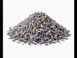 Lavanda