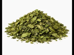 Menta Piperita