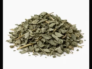 Belladonna